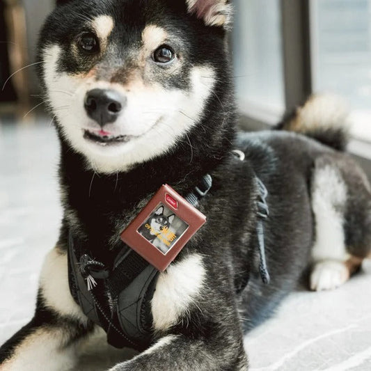 E Ink Screen Tracker